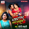 About Pyar Char Bar Karela Song